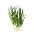 Spring Onions - प्याज पत्ता