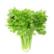 Celery - सेलरी